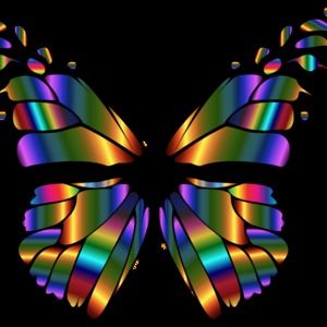 Meet your Posher, Eva